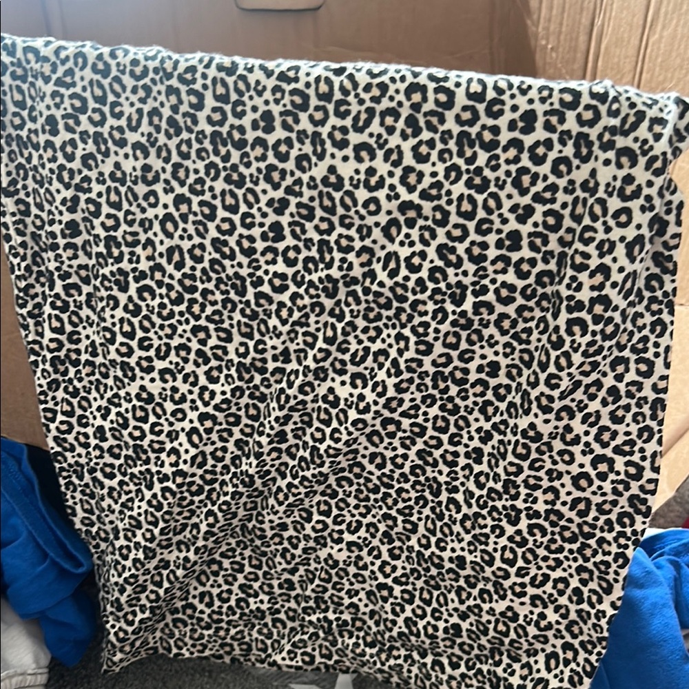 American Eagle Outfitters Leopard Print Crop Top